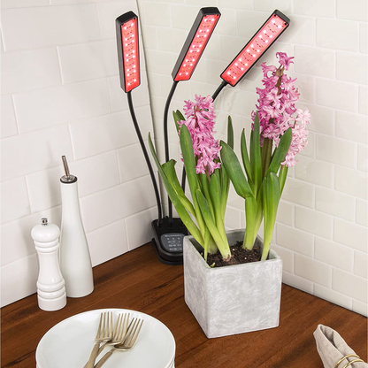 🌿🌱Lampara Led Para Plantas Matas De Cultivo En Interiores🌞