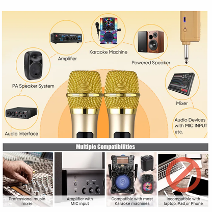 Microfono Inalambrico Profesional Wg100 Con Receptor Uhf